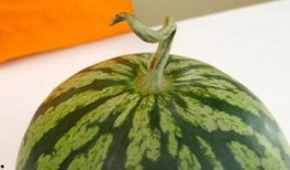 体育圈饭圈 热门大瓜每日必吃大瓜,每日必吃热门大瓜，带你领略精彩瞬间