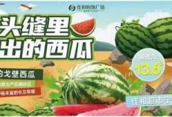 热门大瓜每日大赛,揭秘娱乐圈最新爆料，大赛精彩瞬间回顾