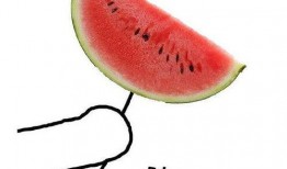 体育圈饭圈 热门大瓜每日必吃大瓜,每日必吃热门大瓜，带你领略精彩瞬间